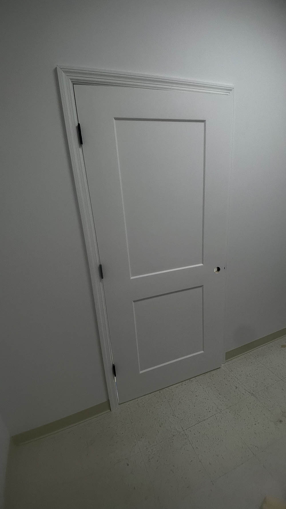 2-panel commercial interior door hung, cased, and painted in semi-gloss